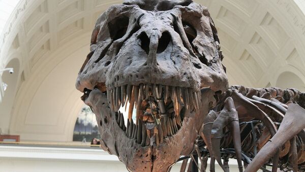 Fóssil de dinossauro em museu (foto de arquivo) - Sputnik Brasil