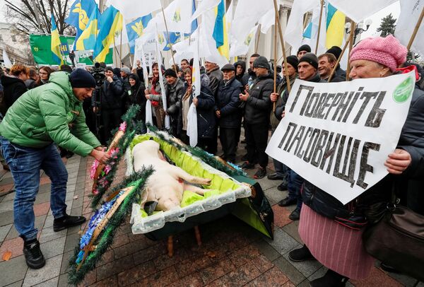 Trabalhadores rurais protestam contra reforma agrária em frente ao prédio do parlamento em Kiev, Ucrânia, 13 de novembro de 2019 - Sputnik Brasil