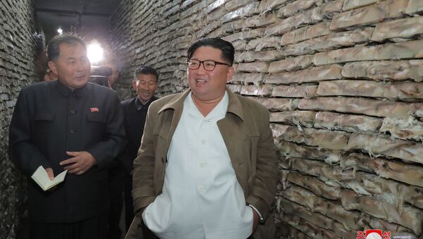 Líder Kim Jong-un durante visita a uma instalação do processamento de peixe na Coreia do Norte - Sputnik Brasil