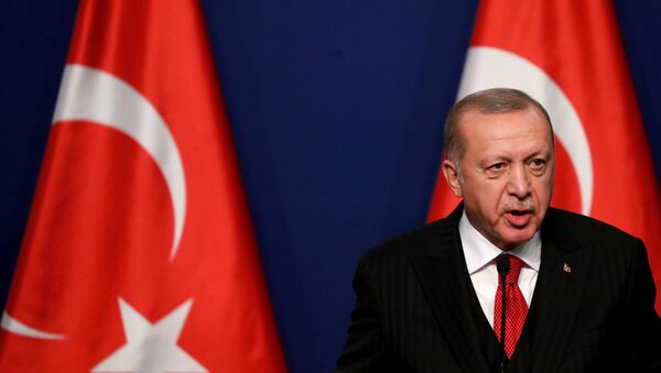 Presidente da Turquia, Recep Tayyip Erdogan, durante conferência de imprensa (foto de arquivo) - Sputnik Brasil