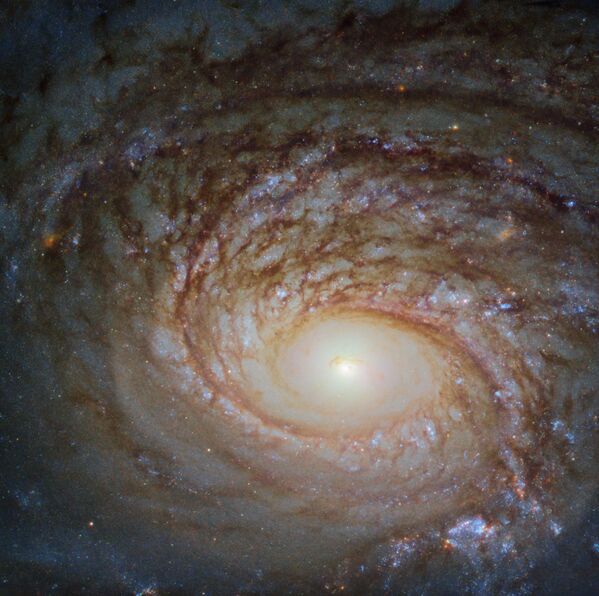 Galáxia espiral NGC 772 - Sputnik Brasil