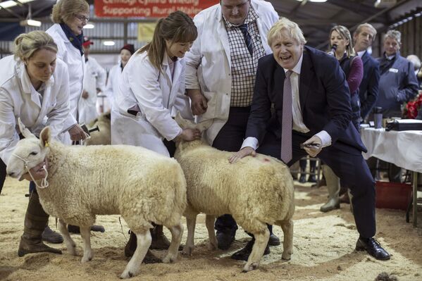 Primeiro-ministro do Reino Unido, Boris Johnson, visitando uma exposição em Llanelwedd, no País de Gales, Reino Unido - Sputnik Brasil