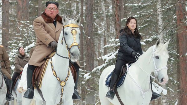 O líder norte-coreano, Kim Jong-un, montado em um cavalo enquanto visita locais de batalha em áreas do monte Paektu, Ryanggang, Coreia do Norte - Sputnik Brasil