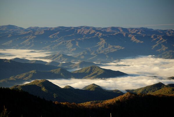 Vista de uma das montanhas Great Smoky, EUA - Sputnik Brasil