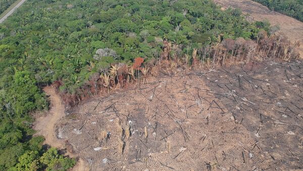 Imagem de drone de área desmatada e queimada na parte rural de Humaitá, no sul do Amazonas - Sputnik Brasil