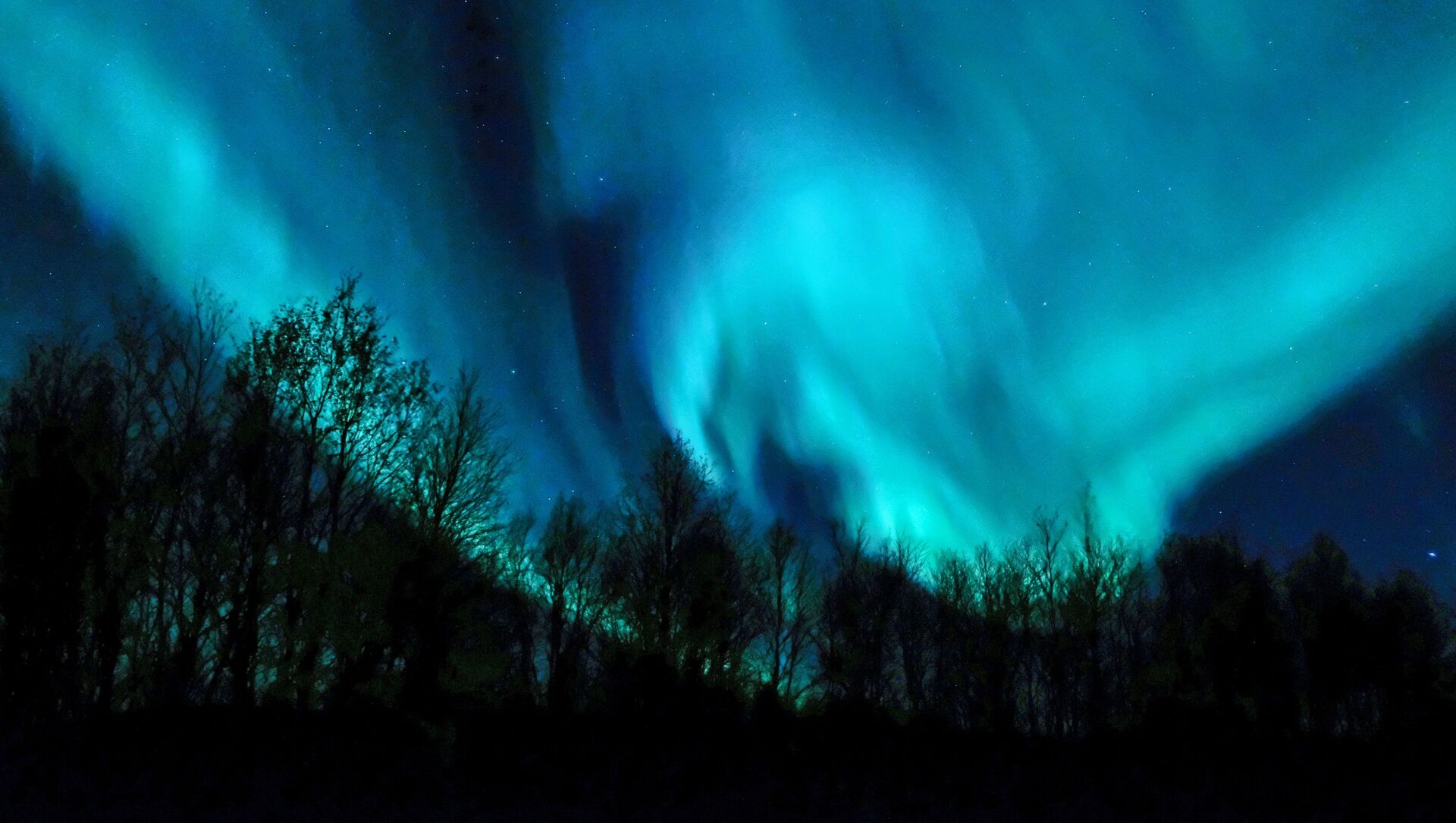 Aurora polar na região de Murmansk, Rússia - Sputnik Brasil, 1920, 01.03.2021
