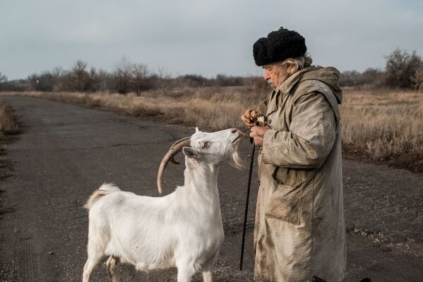 Idoso alimenta um bode no vilarejo de Donetsky na República Popular de Lugansk - Sputnik Brasil