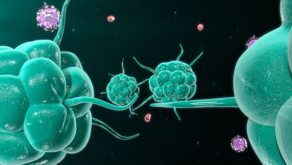 Células de câncer atacando o sistema imunológico - Sputnik Brasil