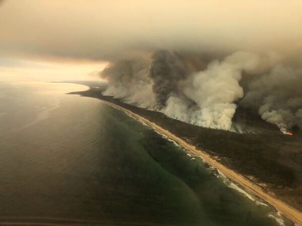 Densa fumaça causada por incêndios na Austrália - Sputnik Brasil