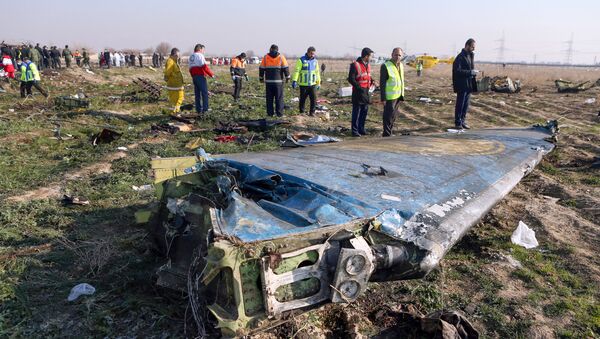 Destroços do avião ucraniano que caiu logo após a decolagem perto do Aeroporto Internacional Imam Khomeini, na capital iraniana Teerã, 8 de janeiro de 2020 - Sputnik Brasil
