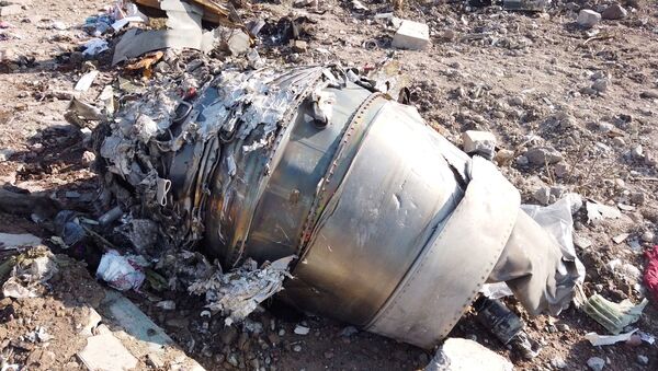 Destroços da aeronave Boeing 737-800, próximos ao aeroporto Imam Khomeini, em Teerã - Sputnik Brasil