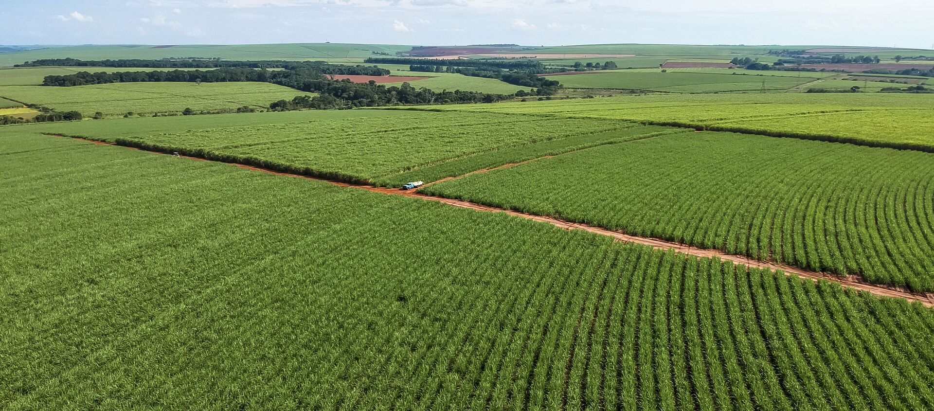 Vista aérea de drone de uma plantação de cana-de-açúcar no município de Pederneiras, região centro-oeste do estado de São Paulo - Sputnik Brasil, 1920, 27.09.2021