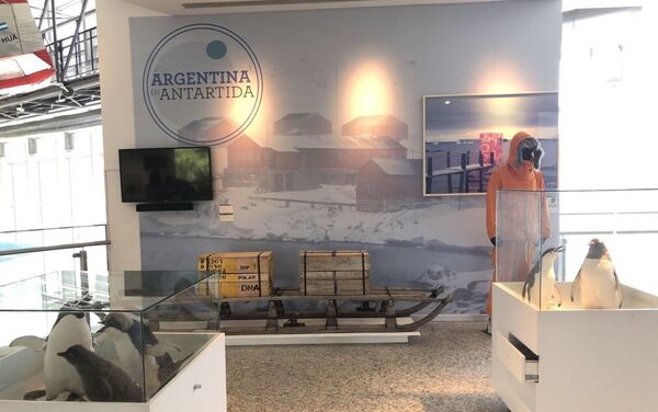 A Antártica tem seu espaço relevante na exposição permanente - Sputnik Brasil