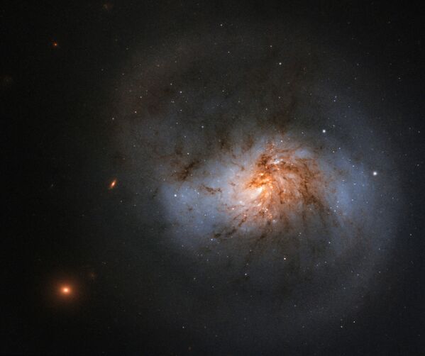 Galáxia espiral NGC 1022 na constelação da Baleia (Cetus) - Sputnik Brasil