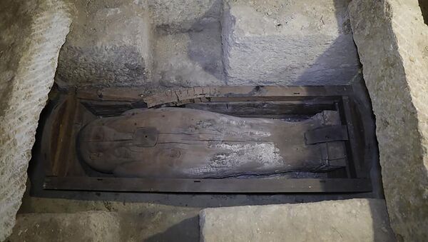 Sarcófago de madeira encontrado no Egito em janeiro de 2020 - Sputnik Brasil