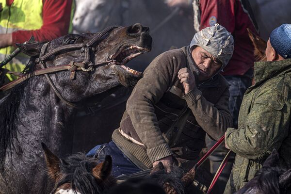 Cavaleiros durante competição nacional Alaman Ulake em Kara-Suu, no Quirguistão - Sputnik Brasil