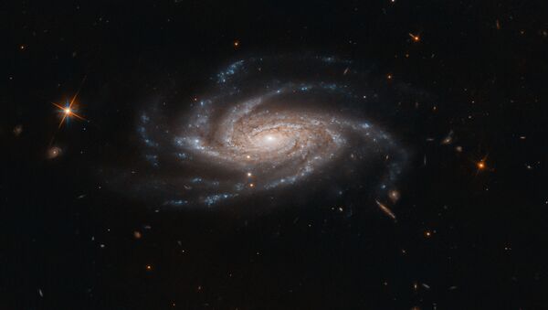 Imagem da galáxia espiral NGC 2008, captada pelo telescópio Hubble - Sputnik Brasil