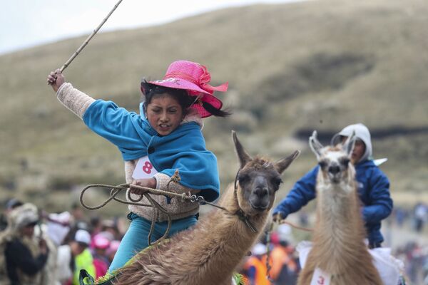 Milena Jami cavalga em sua lhama para conquistar o primeiro lugar na corrida para crianças no Parque Nacional Llanganates, no Equador - Sputnik Brasil