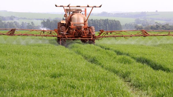 Máquina agrícola aplica fungicida em plantação de trigo em propriedade rural em Campo Mourão (PR) - Sputnik Brasil