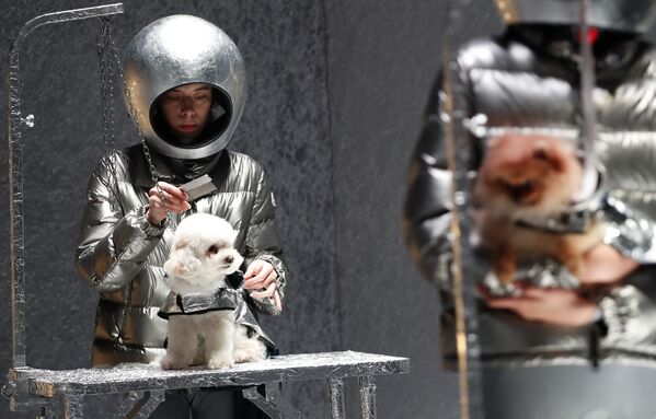 Modelos e cachorros durante apresentação da coleção Moncler, na Semana de Moda de Milão, Itália - Sputnik Brasil