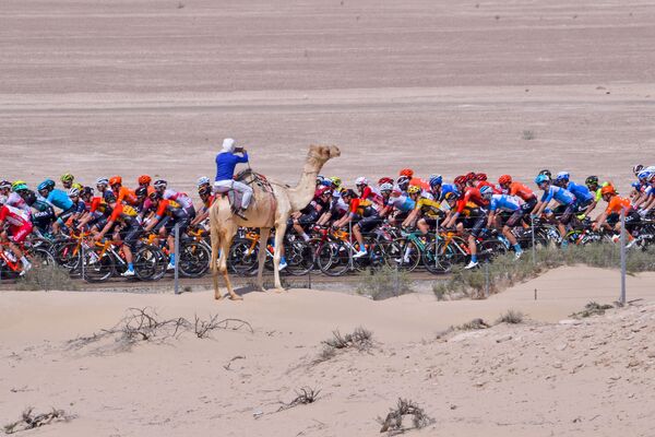 Ciclistas durante a terceira etapa do UAE Cycling Tour, de al-Maroom até Jebel Hafeet, nos Emirados Árabes Unidos - Sputnik Brasil