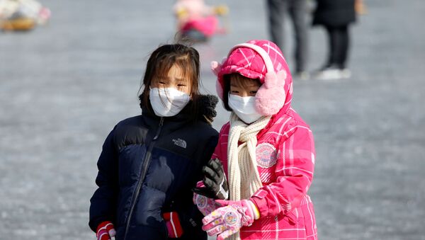 Crianças usando máscaras para evitar contato com novo coronavírus, ao sul da zona desmilitarizada que separa as duas Coreias, 8 de fevereiro de 2020 - Sputnik Brasil