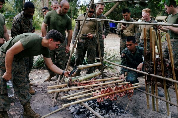 Soldados preparam animais selvagens durante exercício militar Cobra Gold - Sputnik Brasil