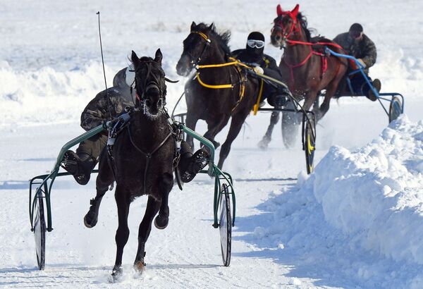 Participantes durante competição com cavalos na região russa de Krasnoyarsk - Sputnik Brasil