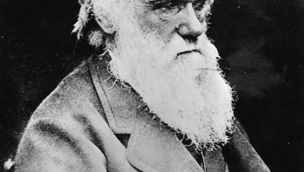Retrato do cientista britânico Charles Robert Darwin, feita pouco antes da sua morte - Sputnik Brasil