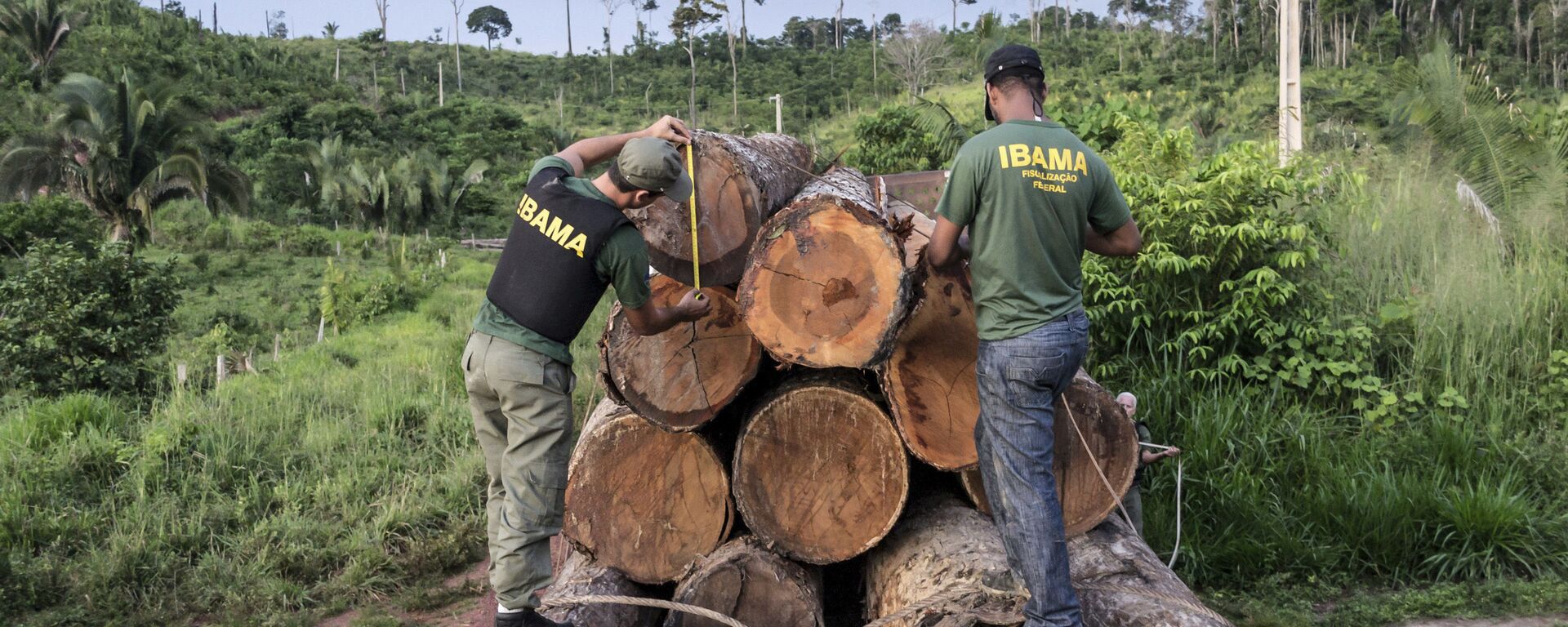 Agentes do Ibama apreendem uma carga ilegal de madeira na área indígena de Cachoeira Seca, no Pará - Sputnik Brasil, 1920, 15.12.2021