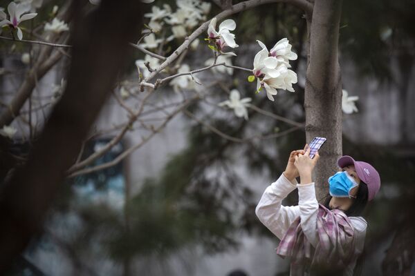 Mulher tira foto de flores no Zoológico de Pequim durante pandemia de coronavírus, China, 24 de março de 2020 - Sputnik Brasil