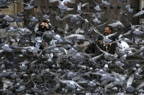 Pombos procuram comida em praça de Bogotá, Colômbia, 25 de março de 2020 - Sputnik Brasil