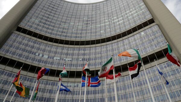 Bandeira do Irã esvoaça na frente da sede da Agência Internacional de Energia Atômica - Sputnik Brasil