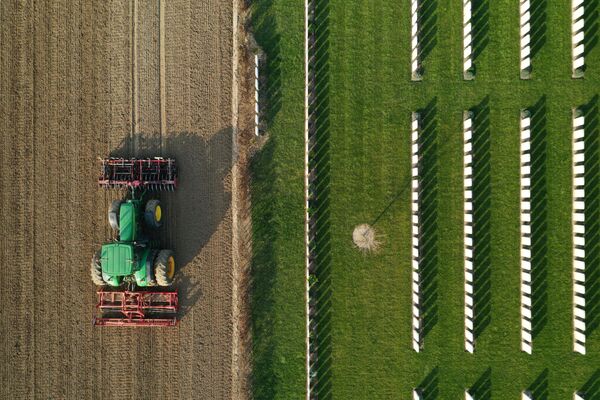 Fazendeiro francês conduz trator para semeadura de beterrabas-sacarinas em Anneux, França - Sputnik Brasil