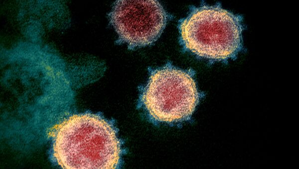 Imagem do coronavírus (SARS-CoV-2) em microscópio - Sputnik Brasil