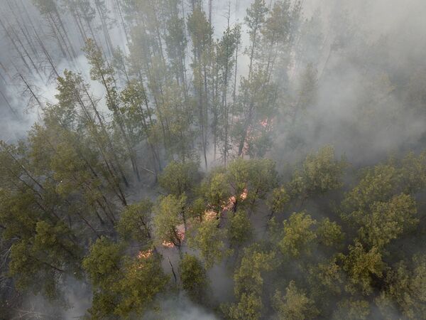 Vista aérea de incêndio em floresta perto de Chernobyl - Sputnik Brasil