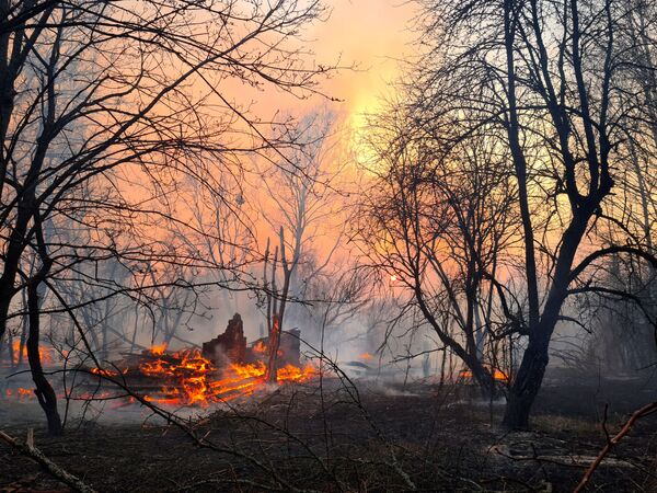 Imagem retrata incêndio próximo à Chernobyl - Sputnik Brasil