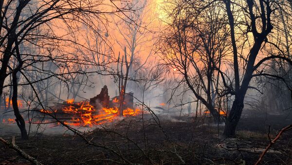Incêndio queima na zona de exclusão em torno da usina nuclear de Chernobyl, na Ucrânia, 5 de abril de 2020 - Sputnik Brasil