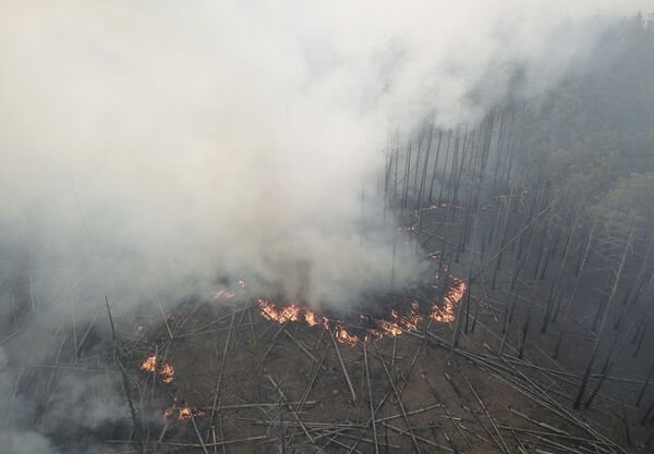 Imagem registra impacto de incêndio em região onde se encontra Chernobyl - Sputnik Brasil