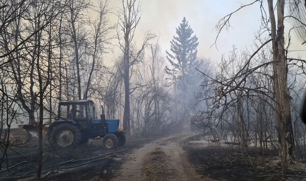 Trator em floresta afetada por incêndio próximo à Chernobyl - Sputnik Brasil