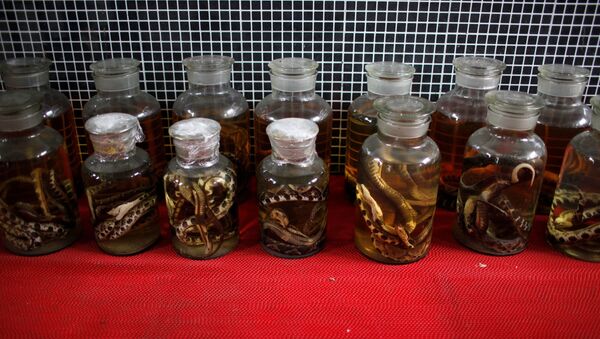Cobras mortas preservadas em potes em fazenda de serpentes na vila de Zisiqiao, província de Zhejiang, China (foto de arquivo) - Sputnik Brasil