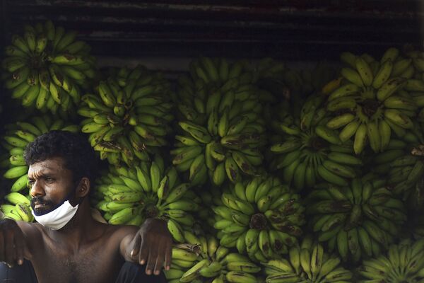 Trabalhador descansando no mercado em Colombo, no Sri Lanka - Sputnik Brasil