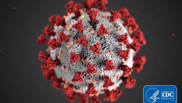 Ilustração do novo coronavírus, o SARS-CoV-2, criada pelo Centro de Controle e Prevenção de Doenças dos EUA (CDC, na sigla em inglês) - Sputnik Brasil