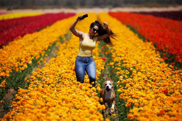 Mulher corre com cachorro por um campo de flores no sul de Israel, na proximidade da Faixa de Gaza, 14 de abril de 2020 - Sputnik Brasil