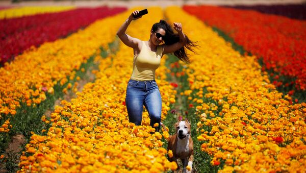 Mulher corre com cachorro por um campo de flores no sul de Israel, na proximidade da Faixa de Gaza, 14 de abril de 2020 - Sputnik Brasil
