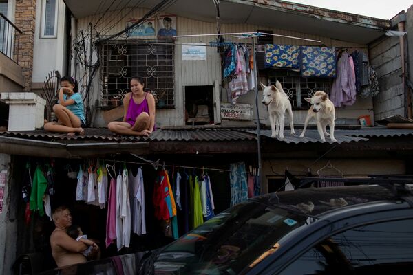 Moças sentadas em telhado de casa junto com seus cachorros durante quarentena na região metropolitana de Manila, Filipinas - Sputnik Brasil