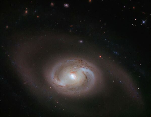 Registro da galáxia espiral NGC 2273 - Sputnik Brasil