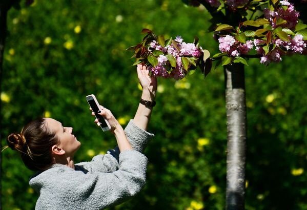 Garota tira fotos de flores em Sochi
 - Sputnik Brasil