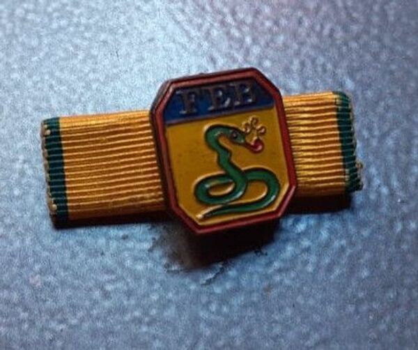Distintivo Cobra Fumando, que adornava o uniforme do pracinha Oswaldo Lellis, quando ele partiu para a Sicília  - Sputnik Brasil