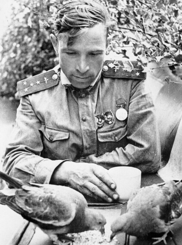 Capitão e navegador soviético Viktor Vasilievich Popov do 263° regimento de aviação de caças, em 1943 - Sputnik Brasil